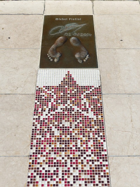 特洛夫的精 特洛夫的精