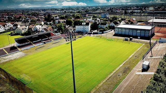 两支球队的 两支球队的